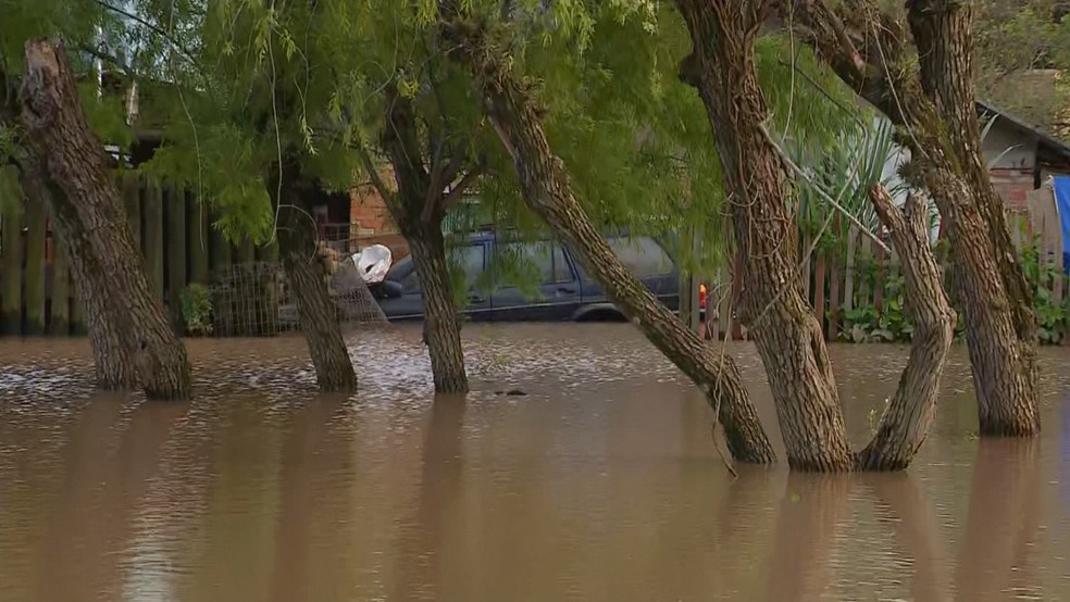 Enchente atinge a região das ilhas de Porto Alegre desde o fim de semana — Foto: Reprodução/RBS TV