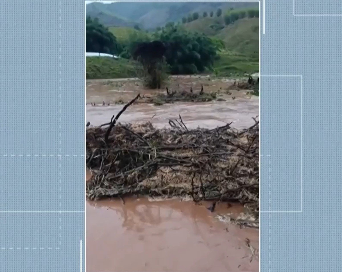 Cabeça d’água assusta moradores da zona rural de Cantagalo; animal morreu atingido por raio