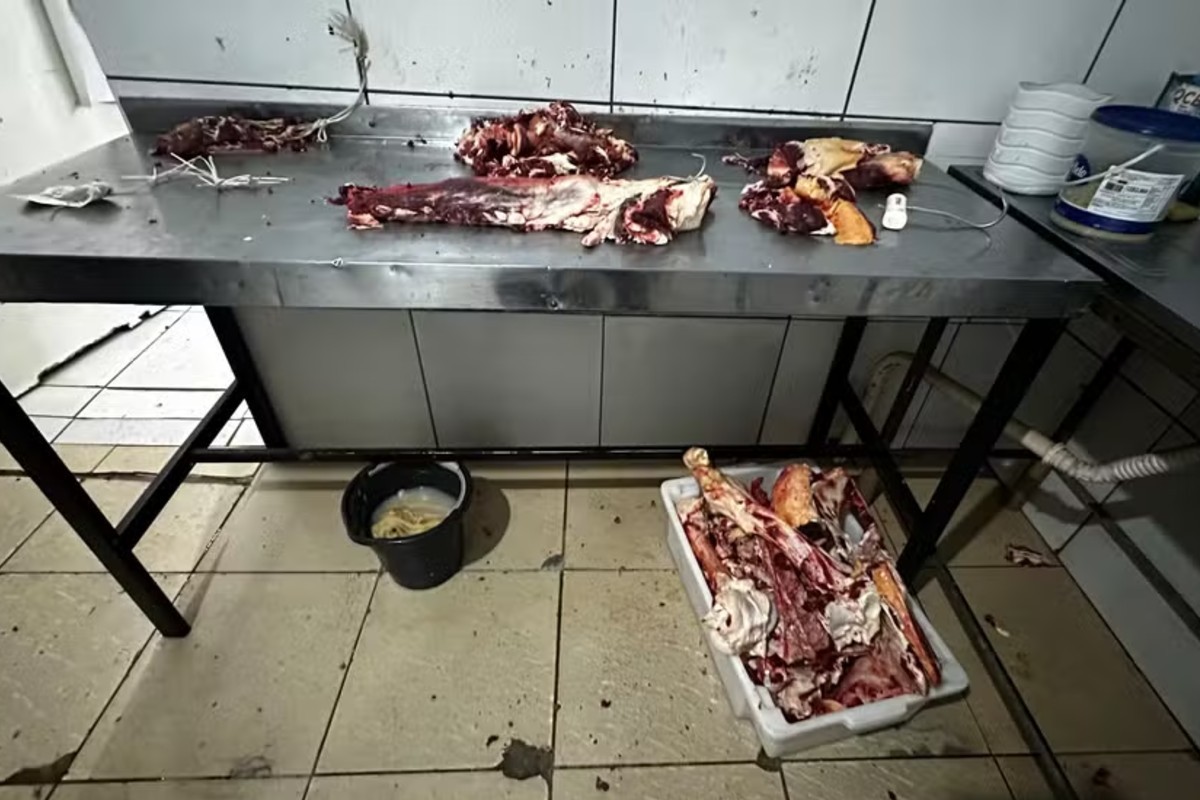 Dona de açougue é presa por venda de carne podre em Campo Grande; local é interditado