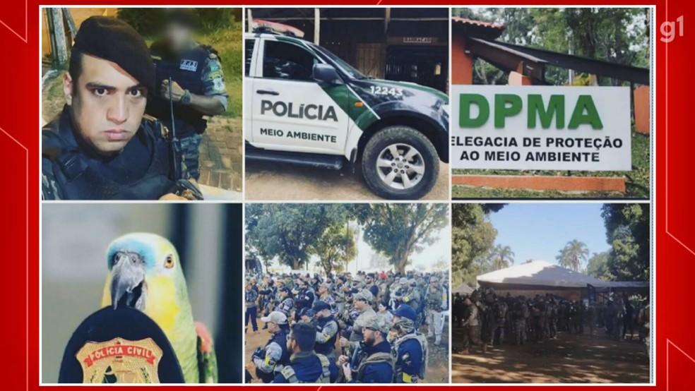 Pedro Henrique Marques Freitas se apresentava como "policial ambiental de Goiás" nas redes sociais. — Foto: TV Globo/Reprodução