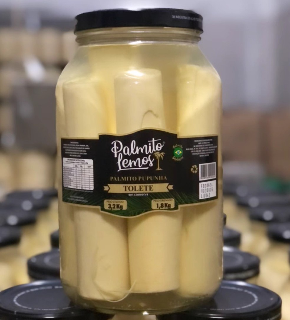 Palmito Lemos — Foto: Divulgação / Redes Sociais