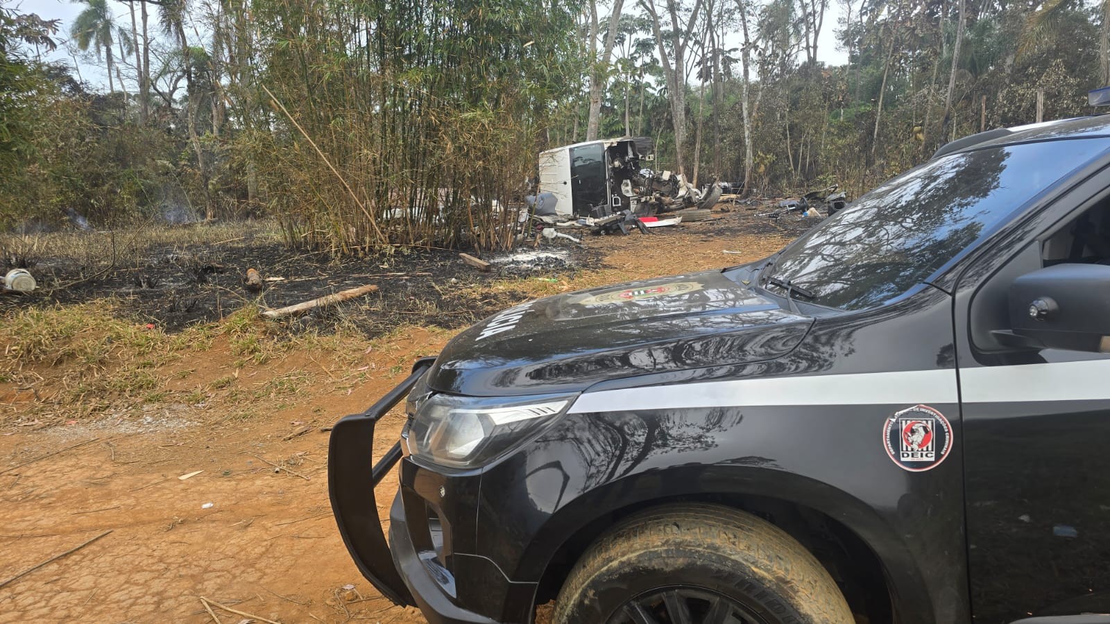Polícia localiza com drone suspeitos de roubarem cães de raça em rodovia de SP