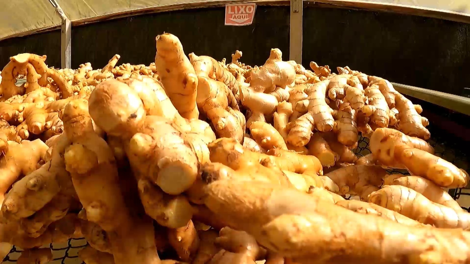Fundação Procon-SP constata diferenças de preços de quase 130% em produtos de festas juninas em Presidente Prudente
