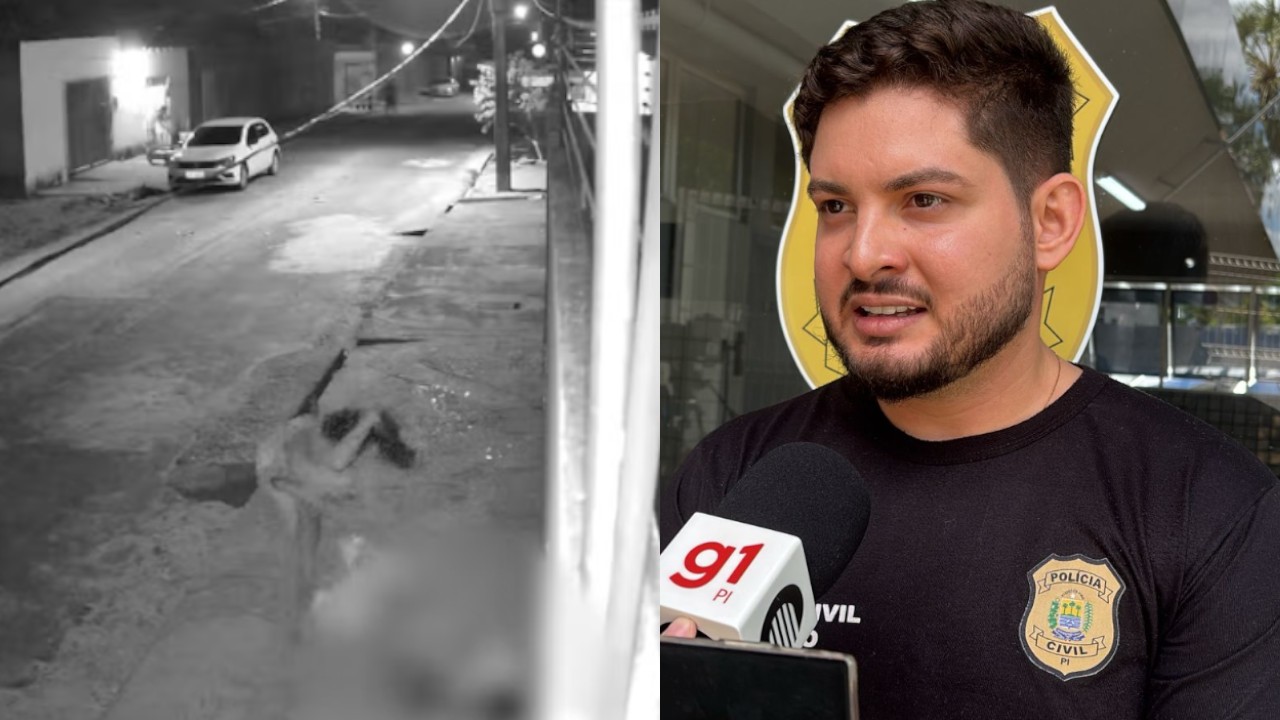 Irmão morto agrediu mãe verbalmente antes de ser assassinado pela irmã, afirma polícia; autora é indiciada