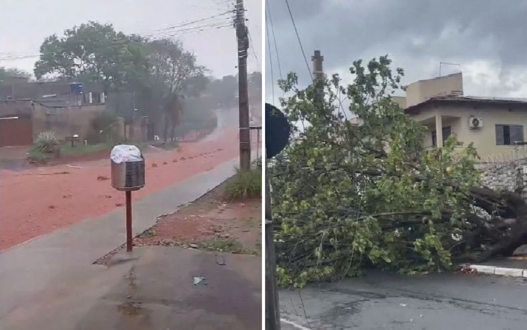 Chuva arranca árvores e causa estragos em Goiás | G1