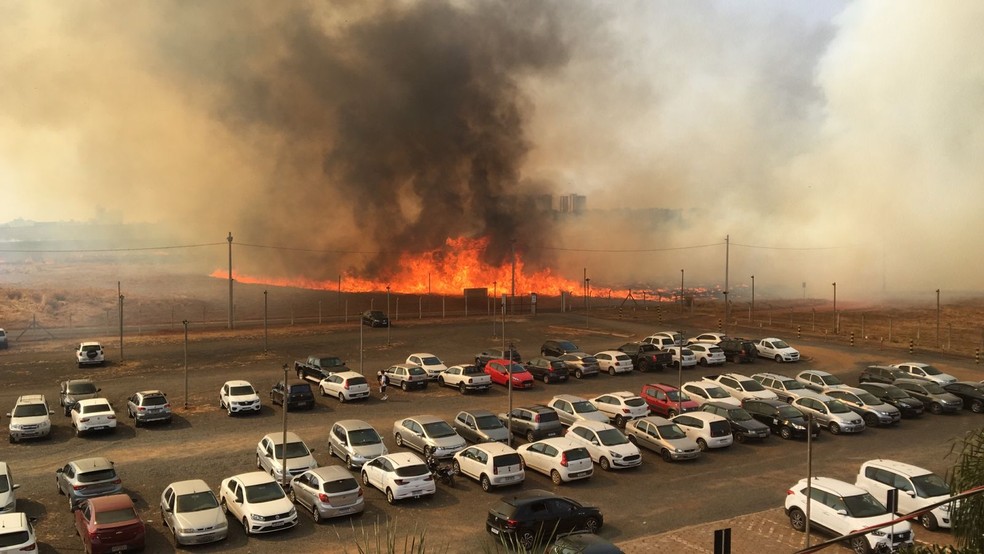 Inc&ecirc;ndio no Campus Gl&oacute;ria da UFU &mdash; Foto: Divulga&ccedil;&atilde;o