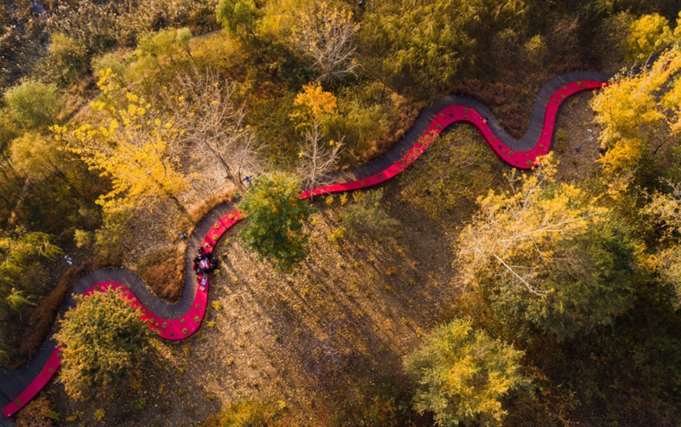 Qinhuangdao Red Ribbon Park — Foto: Turenscape/Divulgação