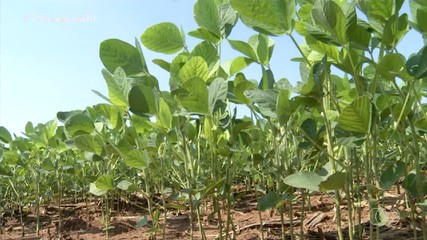 Giro do Campo: veja as notícias que são destaque no Tocantins