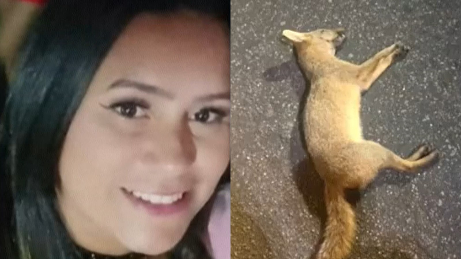 Motociclista morre após colidir com raposa no interior do Ceará