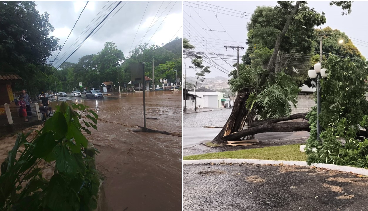 Chuva forte causa quedas de árvores e alagamentos em cidades do interior de SP