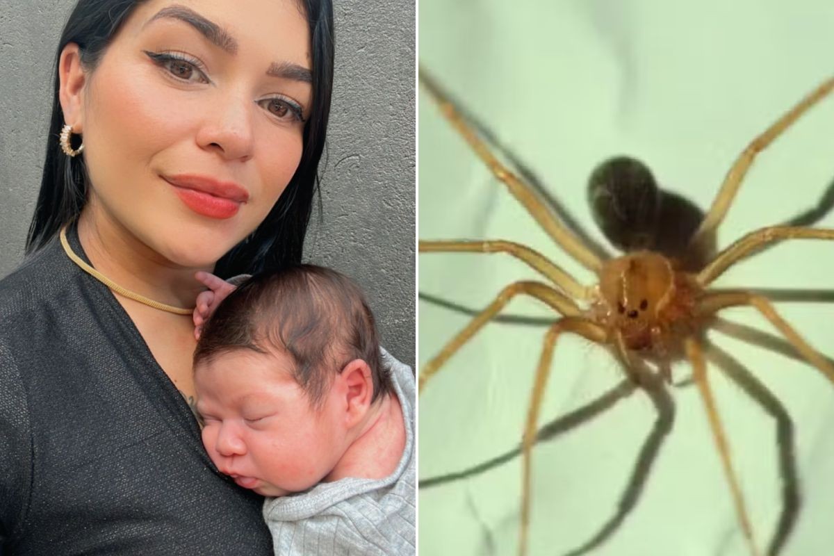 Grávida picada por aranha venenosa e que teve a pele necrosada dá à luz e respira aliviada: 'nasceu super saudável'