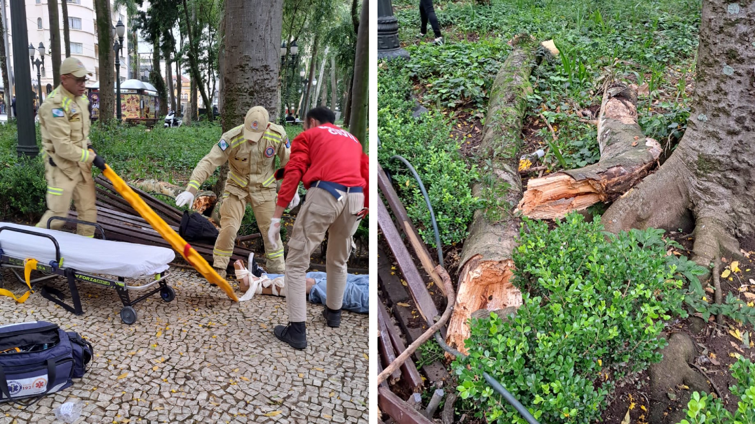 Pela terceira vez em quatro meses, queda de galho deixa ferido na Praça Osório, em Curitiba