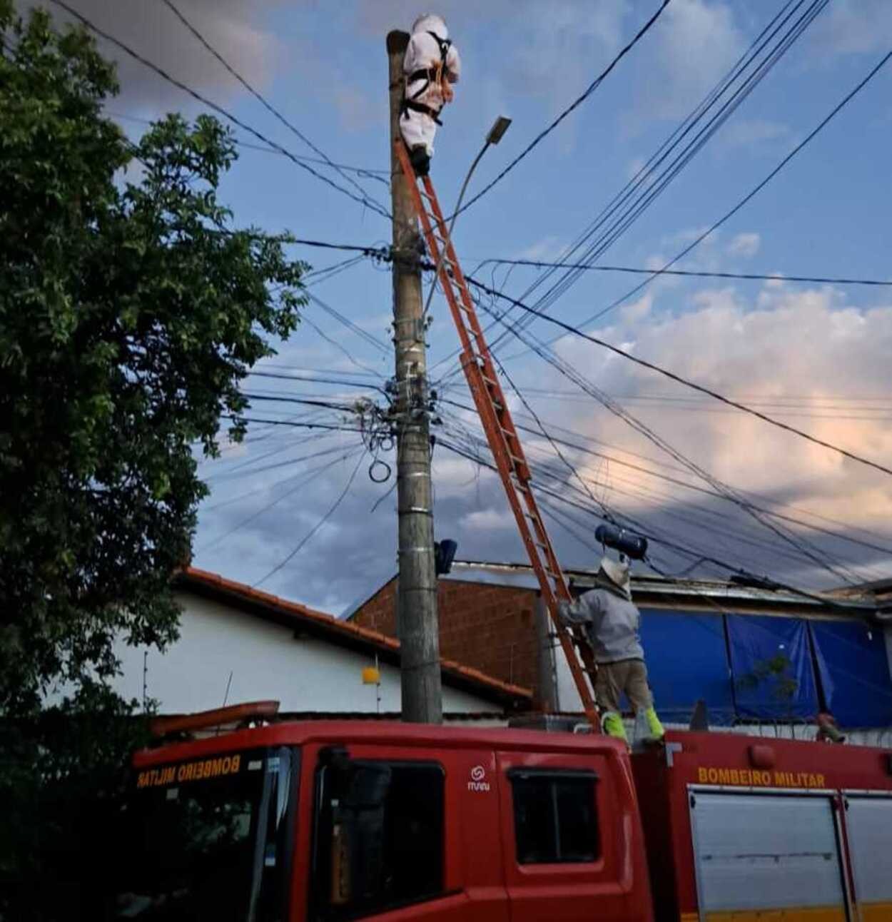Homem atacado por enxame de abelhas permanece em estado grave após sofrer parada cardiorrespiratória em Montes Claros