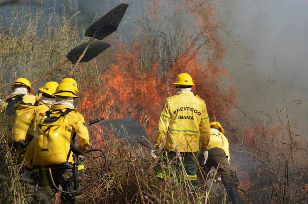Ibama autoriza contratação de brigadas temporárias para combate a incêndios no Maranhão