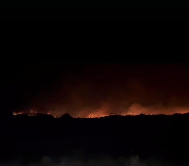 Incêndio em fazendas já destruiu 8 km de área no sul do Pará