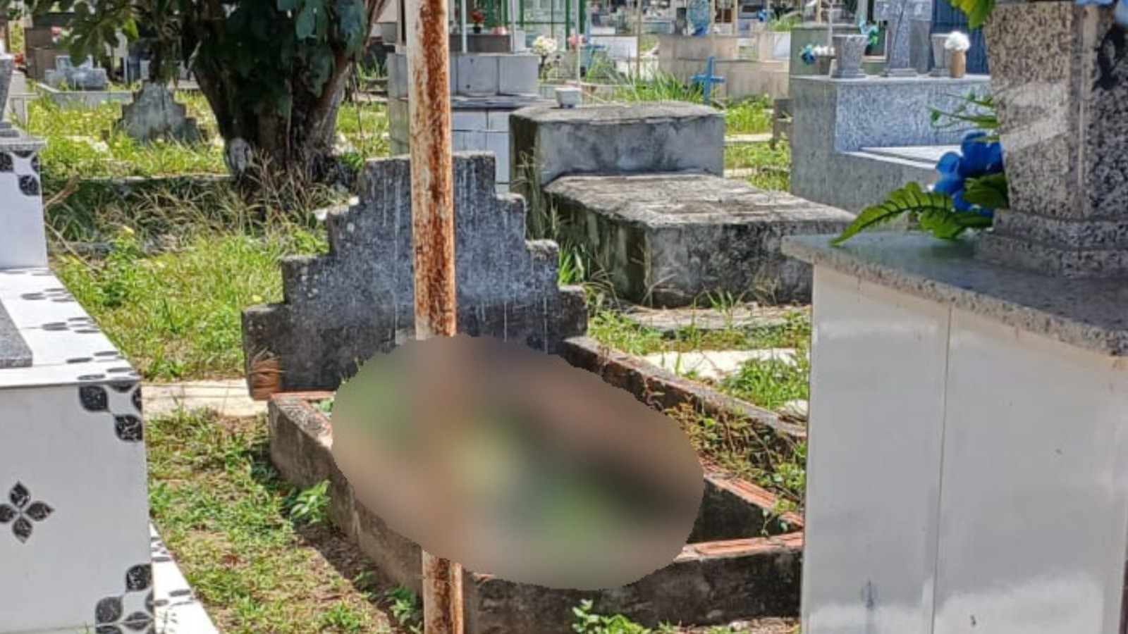 Ossada humana é encontrada exposta em túmulo abandonado no cemitério São José, em Macapá 