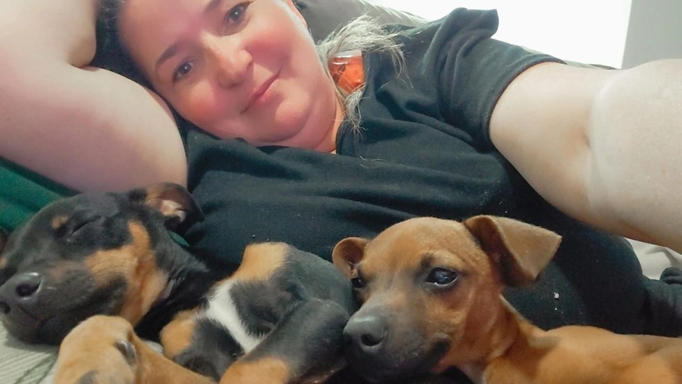 Cachorrinha resgatada em Gália é adotada em Bauru — Foto: Arquivo pessoal/Divulgação