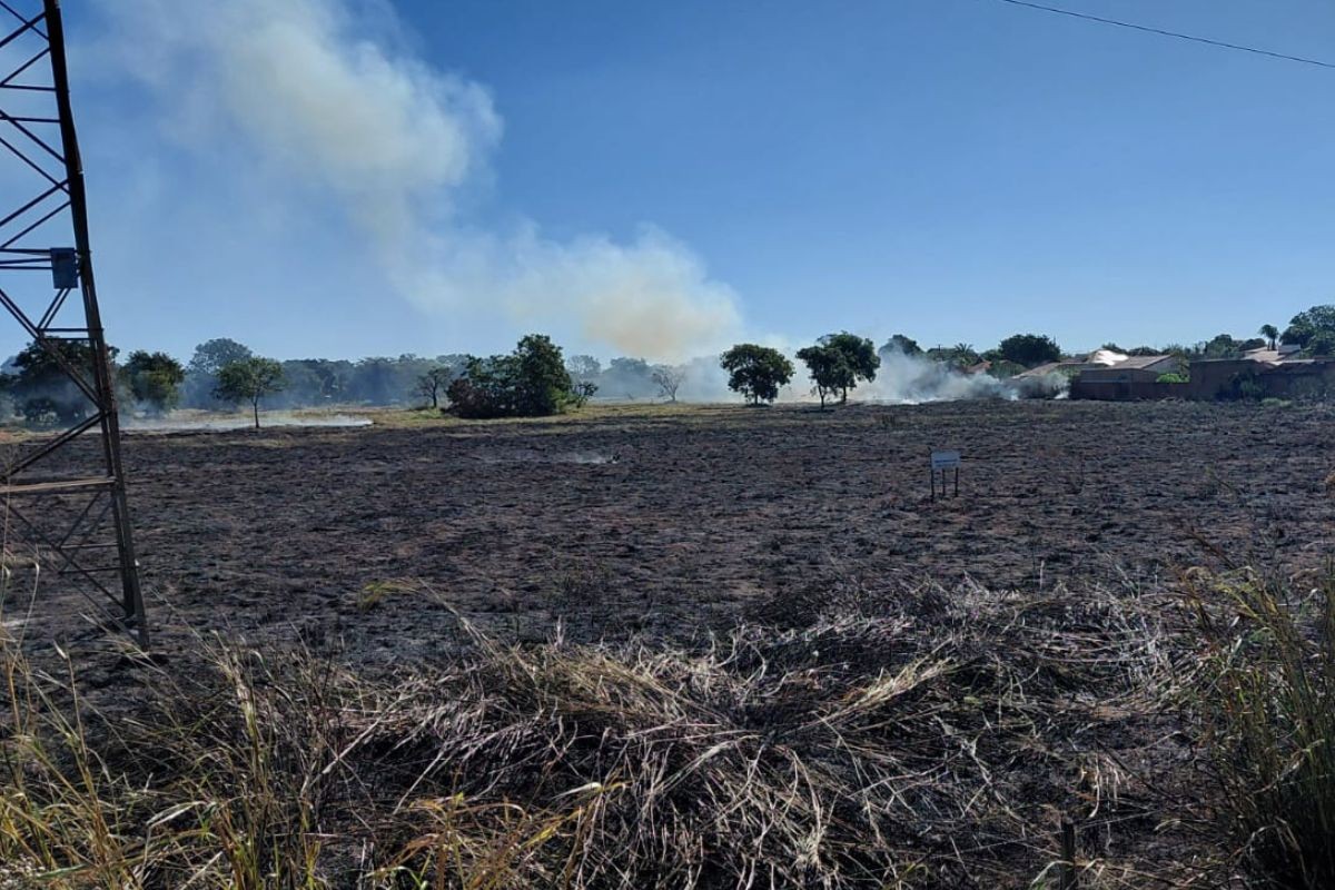 Incêndio de grandes proporções atinge área de mata às margens de rodovia em Campo Grande
