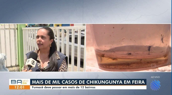 Vídeos do g1 e TV Subaé - quinta-feira, 22 de outubro de 2026