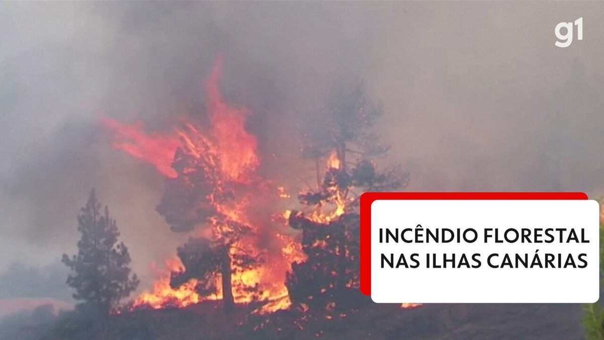Los incendios azotan las Islas Canarias de España en medio de una ola de calor en el hemisferio norte |  el mundo