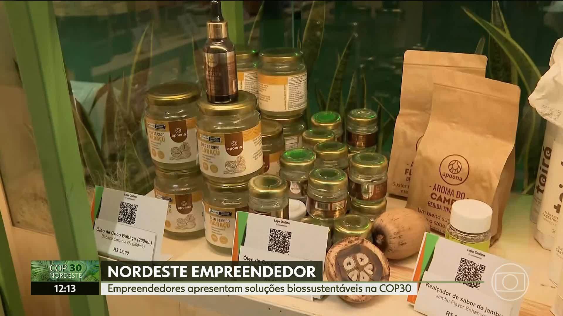 VÍDEOS: NE1 de quarta-feira, 19 de novembro de 2025