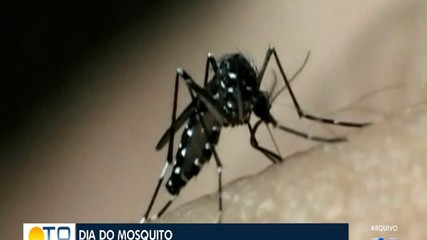 Dia do mosquito reforça a importância da prevenção contra as doenças transmitidas