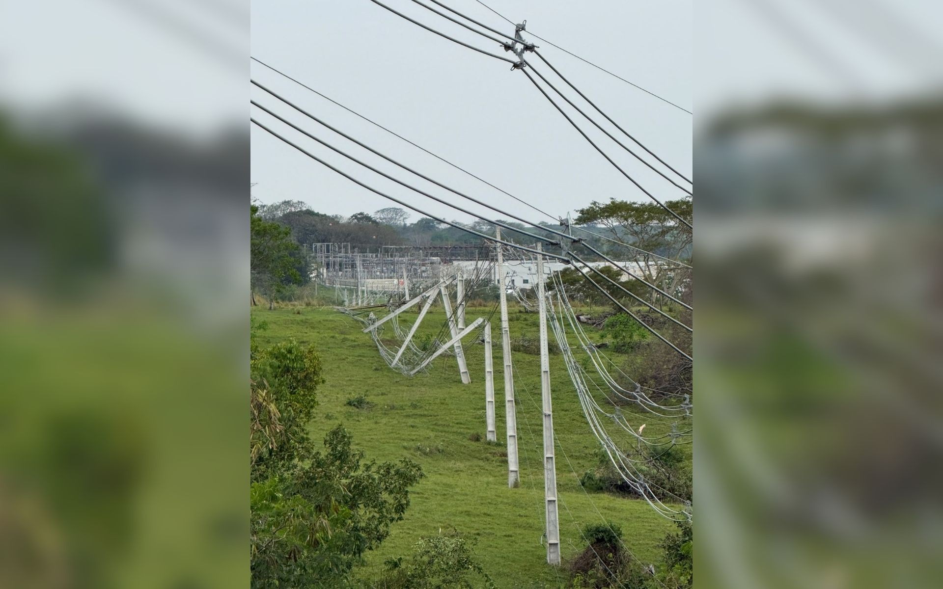 Ventania derruba árvores e postes e afeta distribuição de energia em Prudente