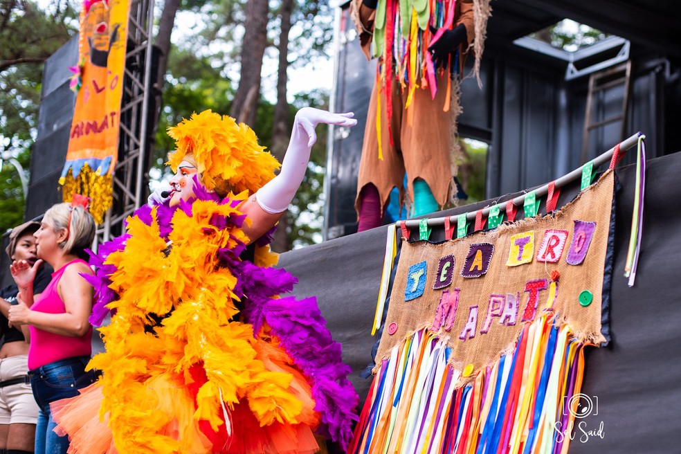 Apresentação do Teatro Carnapati no bloco infantil — Foto: Sol Said/ Divulgação