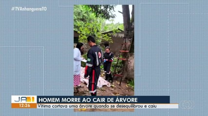 Homem morre após cair de árvore durante corte em Filadélfia