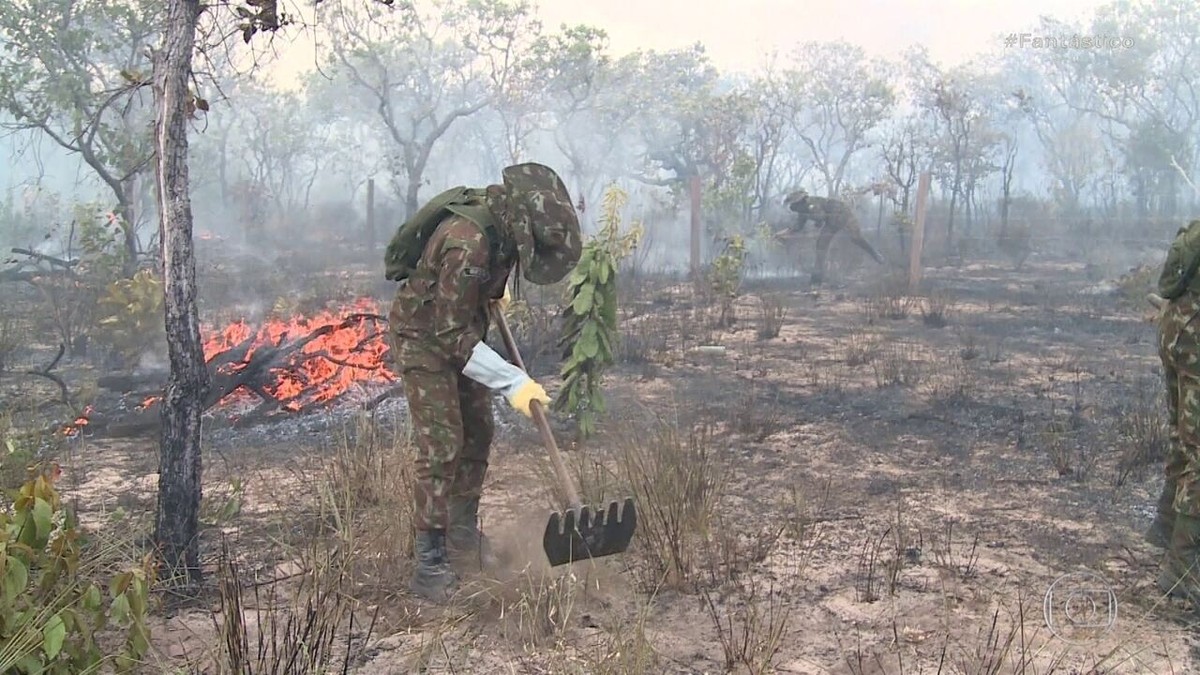 Chuva apaga incêndio na Apa Alter do Chão; imagens de satélite mostram  evolução das chamas, Santarém e Região