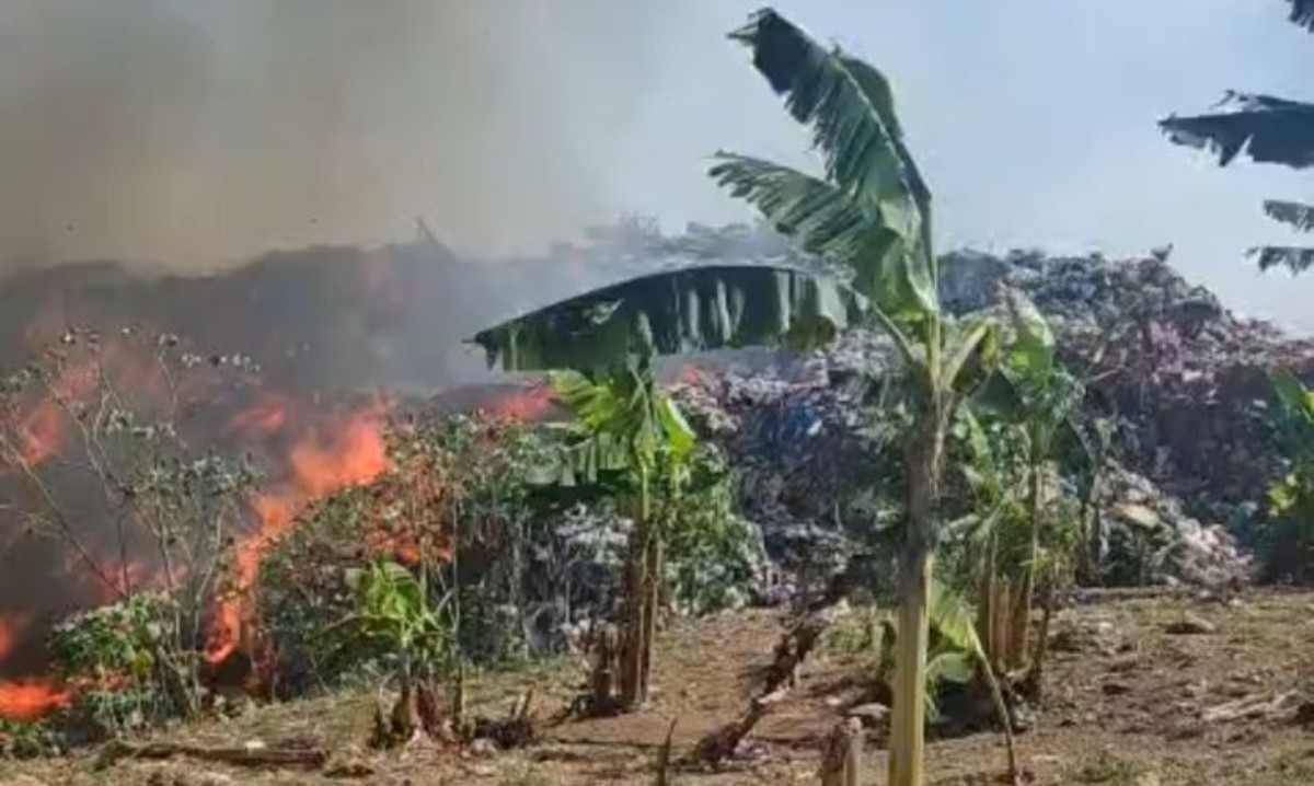 Incêndio em lixão de Manacapuru atinge plantação de bananas e assusta moradores; VÍDEO