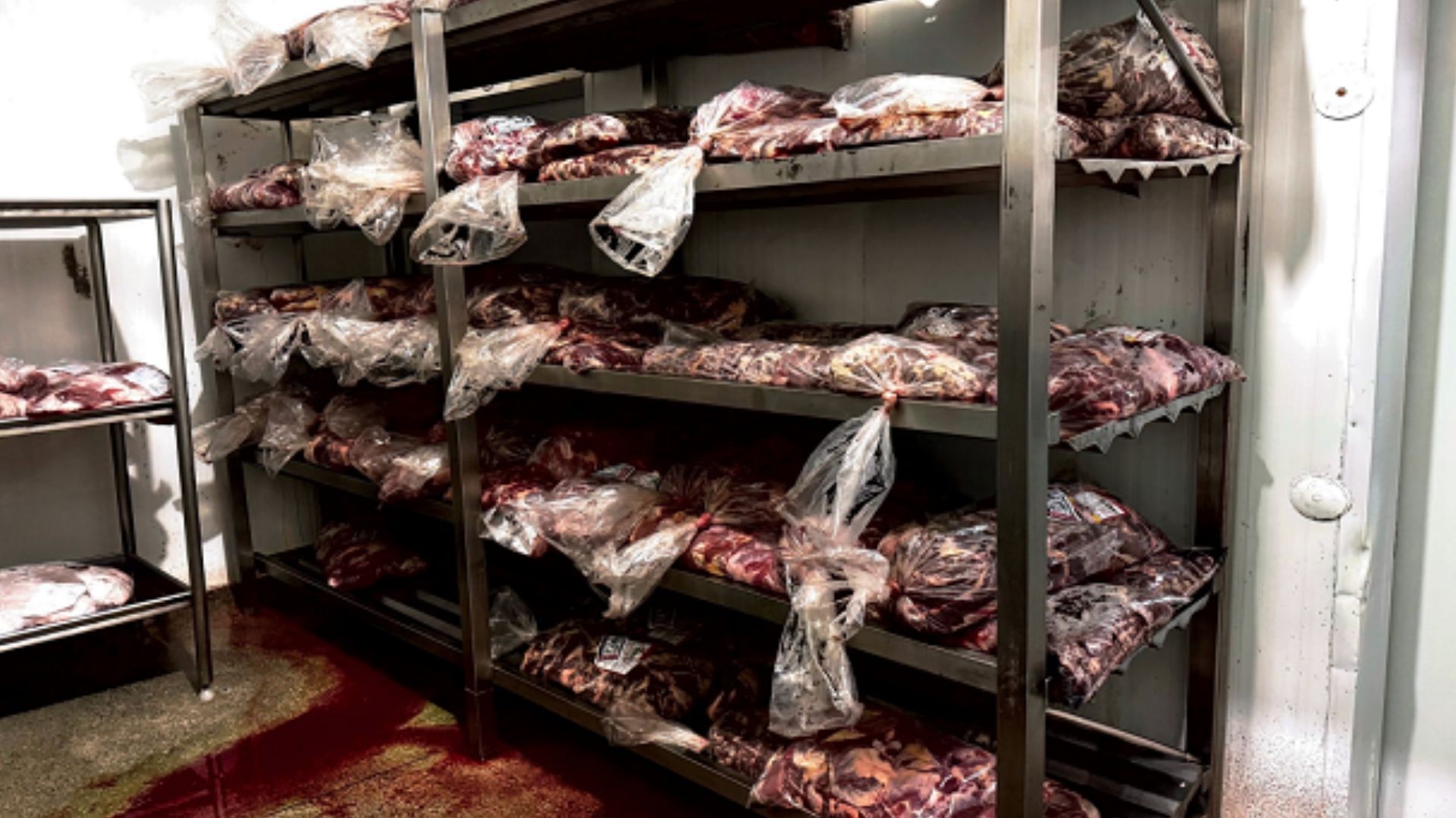Frigorífico de MG é multado em mais de R$ 35 mil por colocar carnes impróprias para consumo no mercado