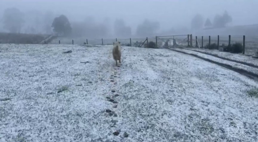 Cidades das serras Gaúcha e Catarinense têm neve e temperaturas negativas 