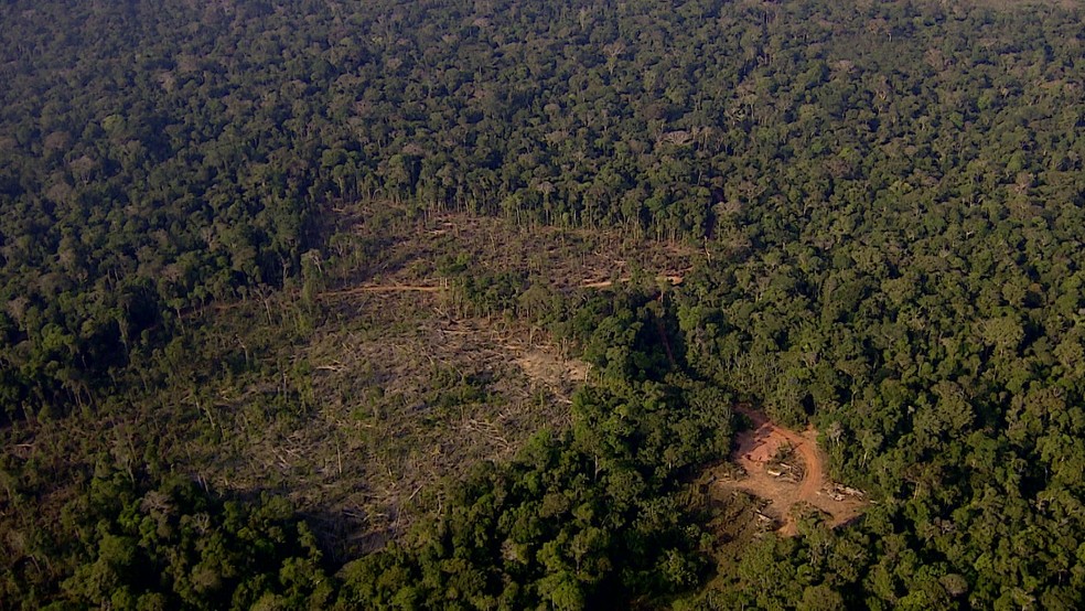 magem aérea feita na terça-feira, 16 de agosto de 2022 mostra desmatamento entre os estados de Rondônia e Amazonas.  — Foto: Ruan Gabriel/Rede Amazônica 