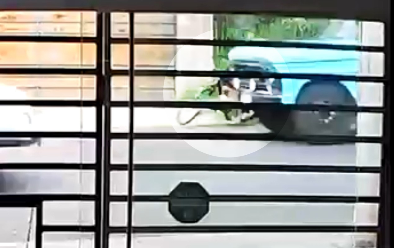 VÍDEO: Adolescente de 14 anos morre após ser atropelado por caminhão enquanto andava de bicicleta em Bauru