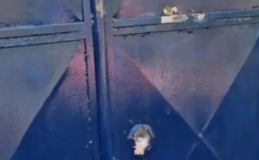 Escola indígena em Palmeira dos Índios sofre ataque a tiros