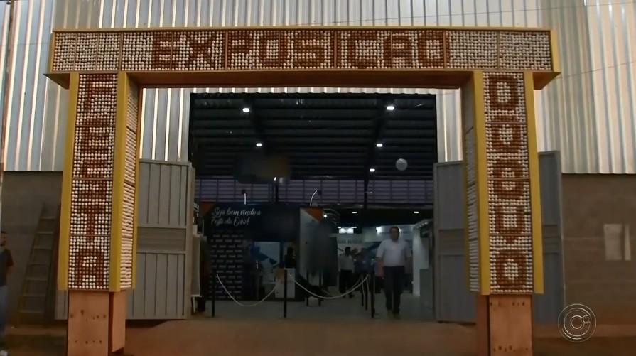 Festa do Ovo de 2025 em Bastos é cancelada após confirmações de casos de gripe aviária no estado de SP