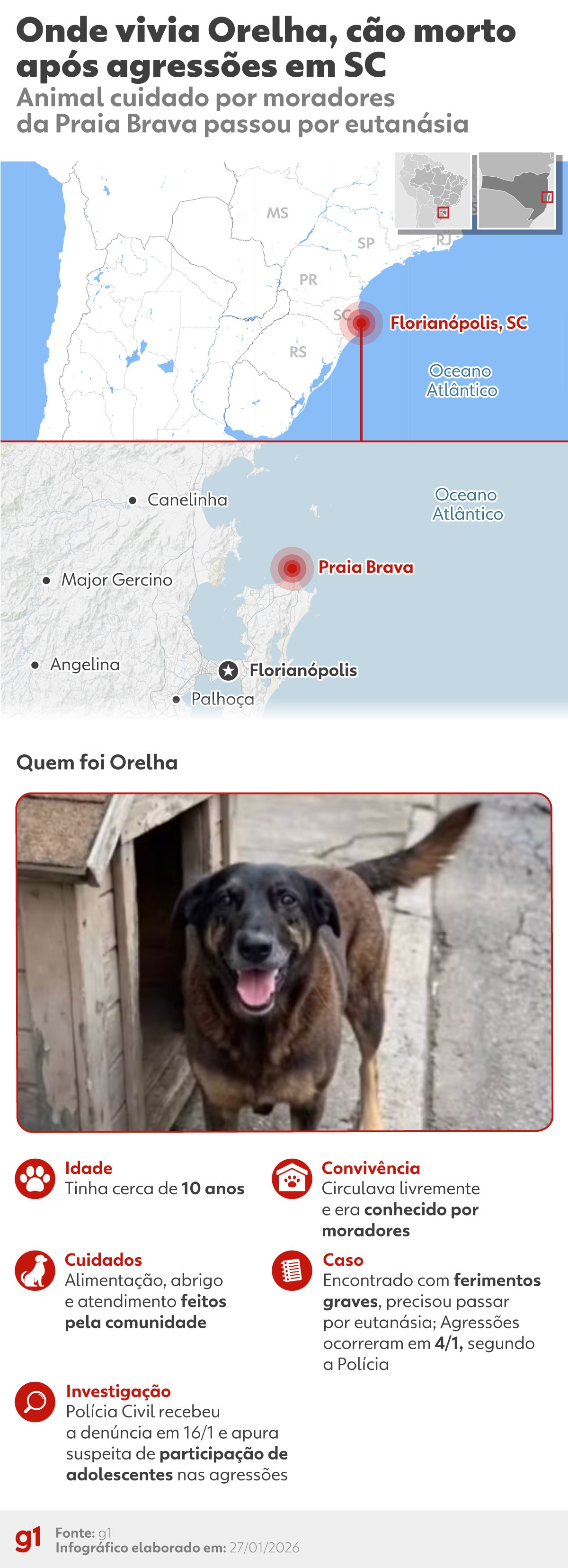 Cão Orelha: Veja perguntas e respostas sobre o que aconteceu com animal, agredido por adolescentes em Florianópolis
