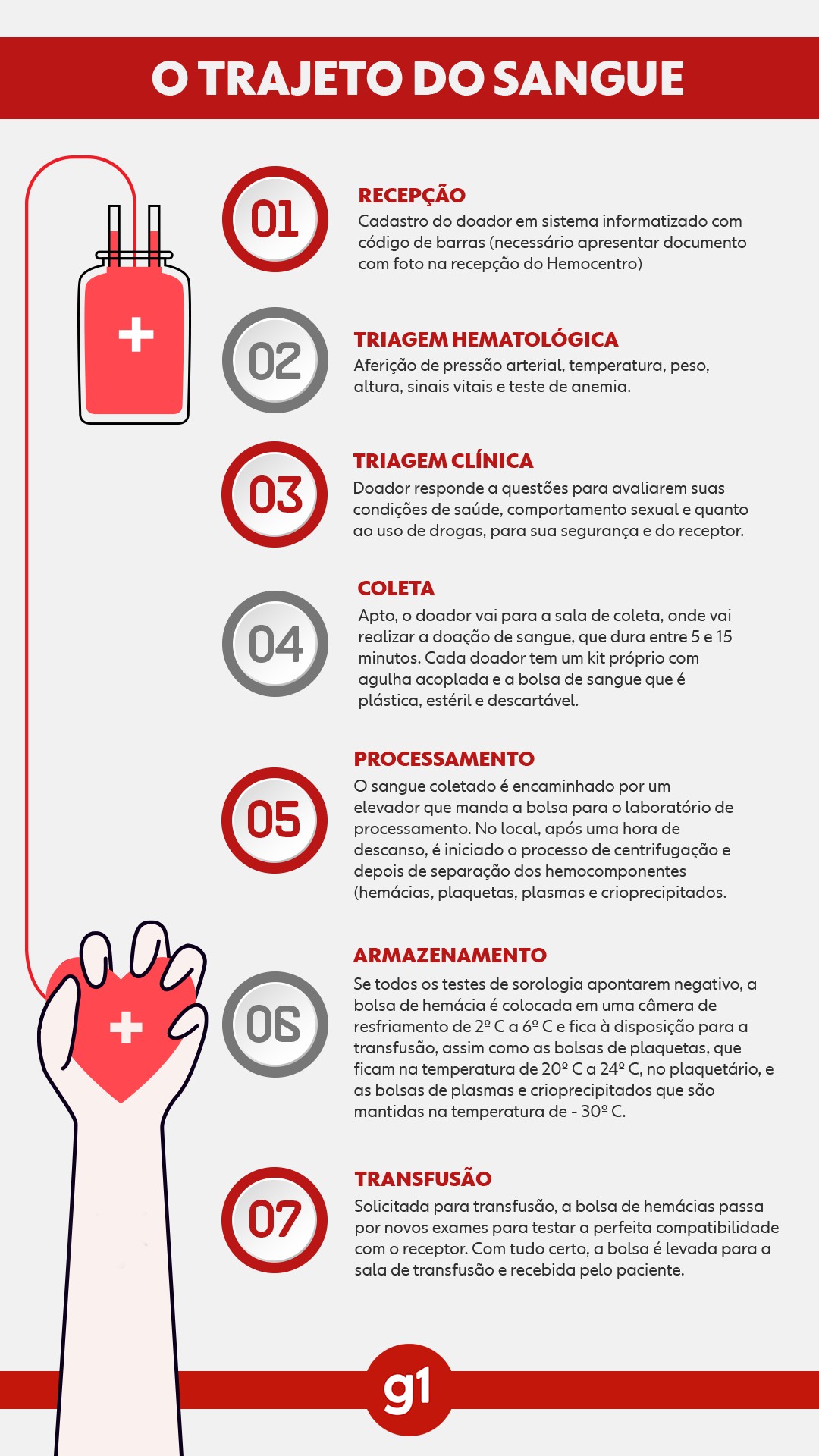 Da recepção à transfusão: conheça os setes passos do ciclo da doação de sangue e saiba como ajudar