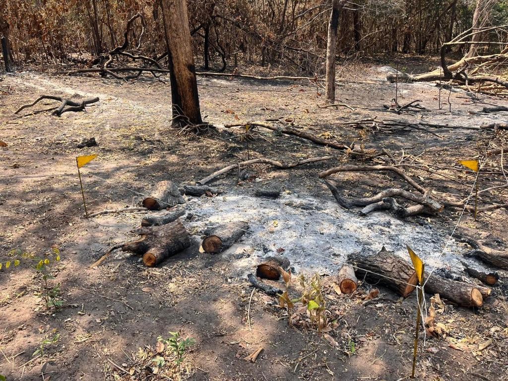 Perícia conclui que incêndio no Parque Estadual Serra Azul em MT foi criminoso
