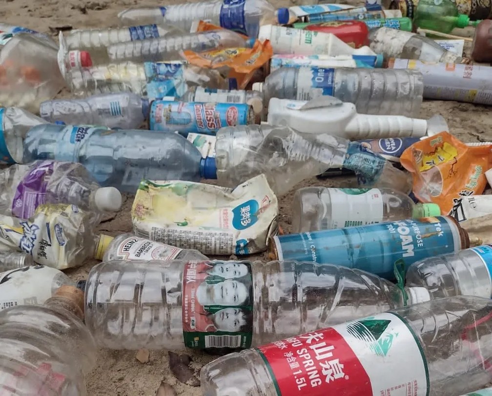 ONG coleta lixo internacional em diversas praias do país — Foto: ONG Ecomov