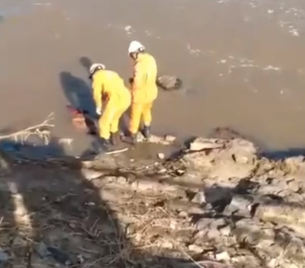 Homem dorme dentro de rio e é confundido com morto no sul da Bahia — Foto: Reprodução/Redes Sociais