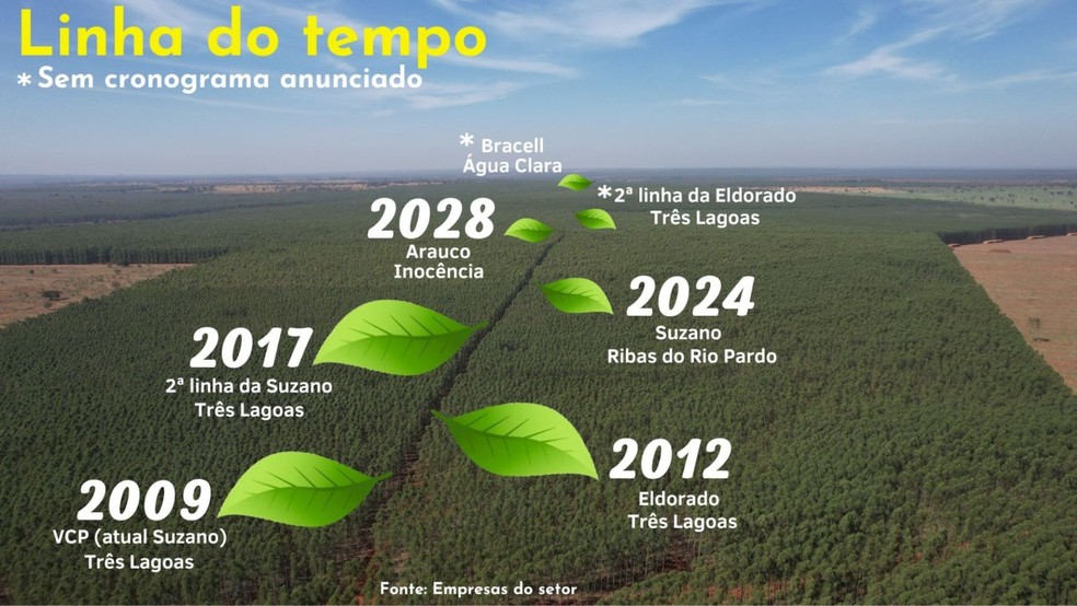 A linha do tempo da celulose em Mato Gtosso do Sul — Foto: g1 MS