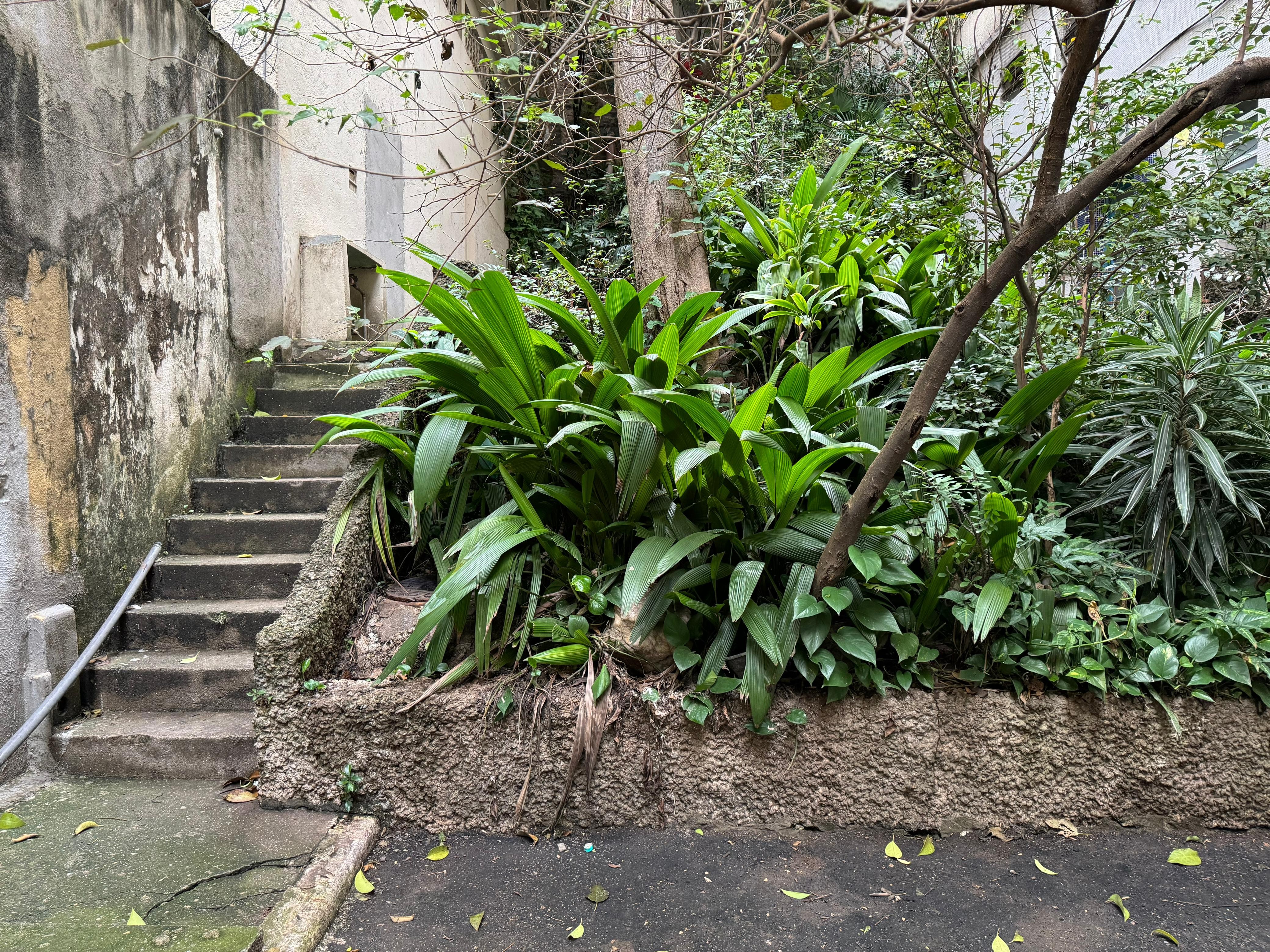 Descubra os rios 'escondidos' de SP