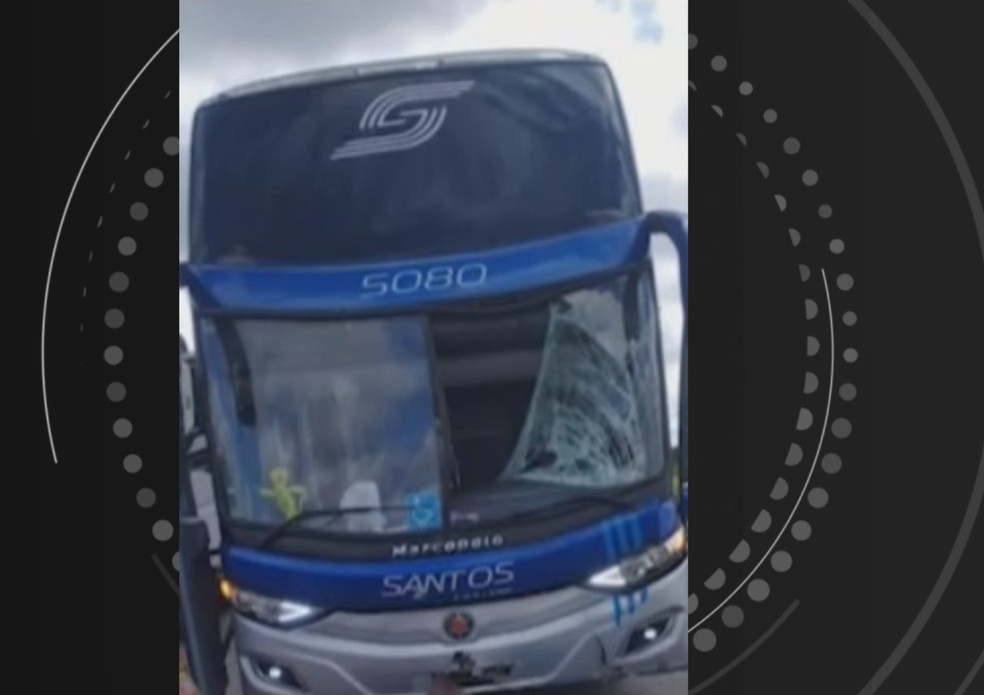 Por causa do impacto, o para-brisa do ônibus ficou danificado — Foto: Reprodução/TV Sudoeste