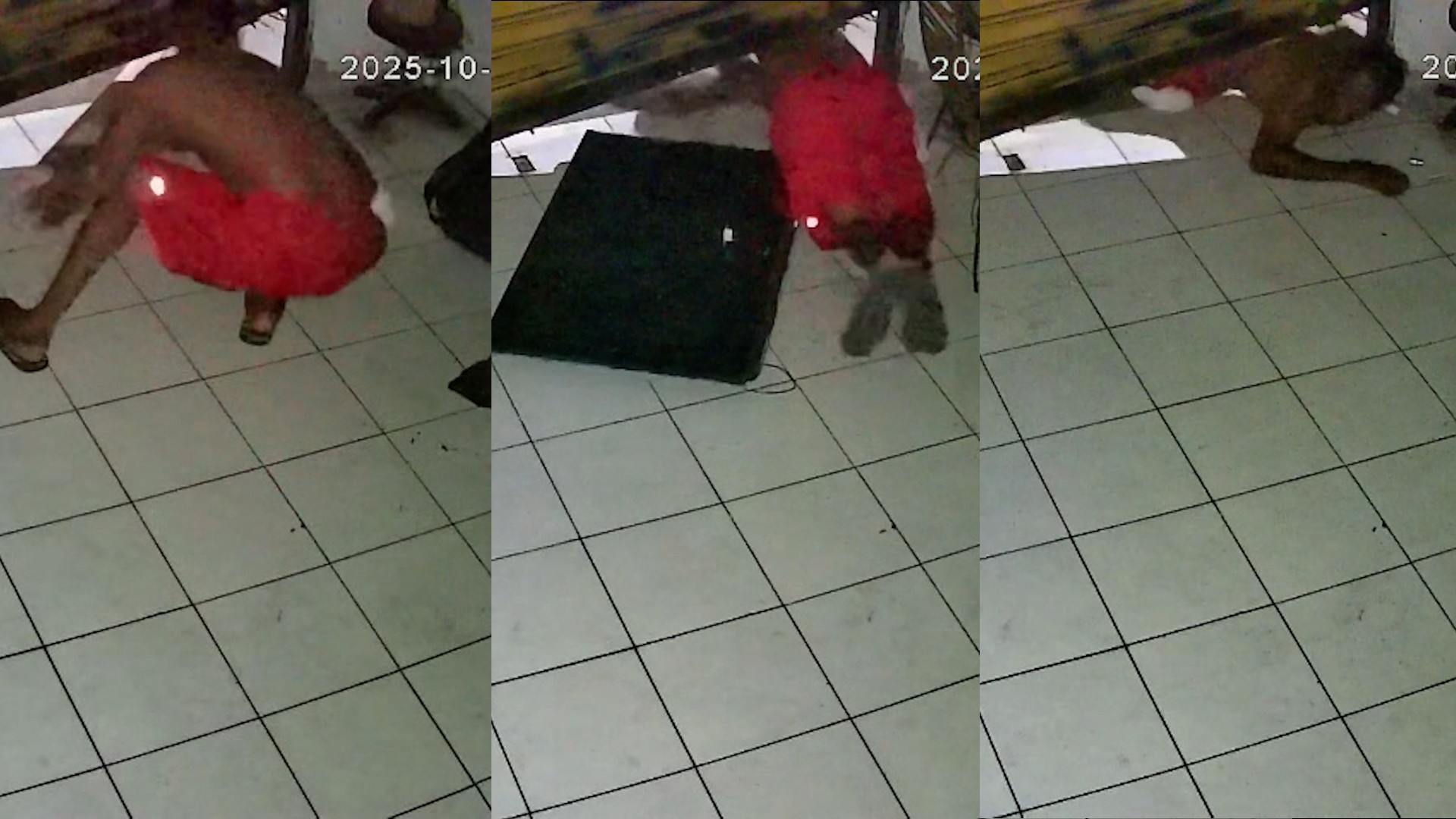Vídeo mostra furto em loja de películas automotivas de Teresina; prejuízo de R$ 3 mil, diz dono