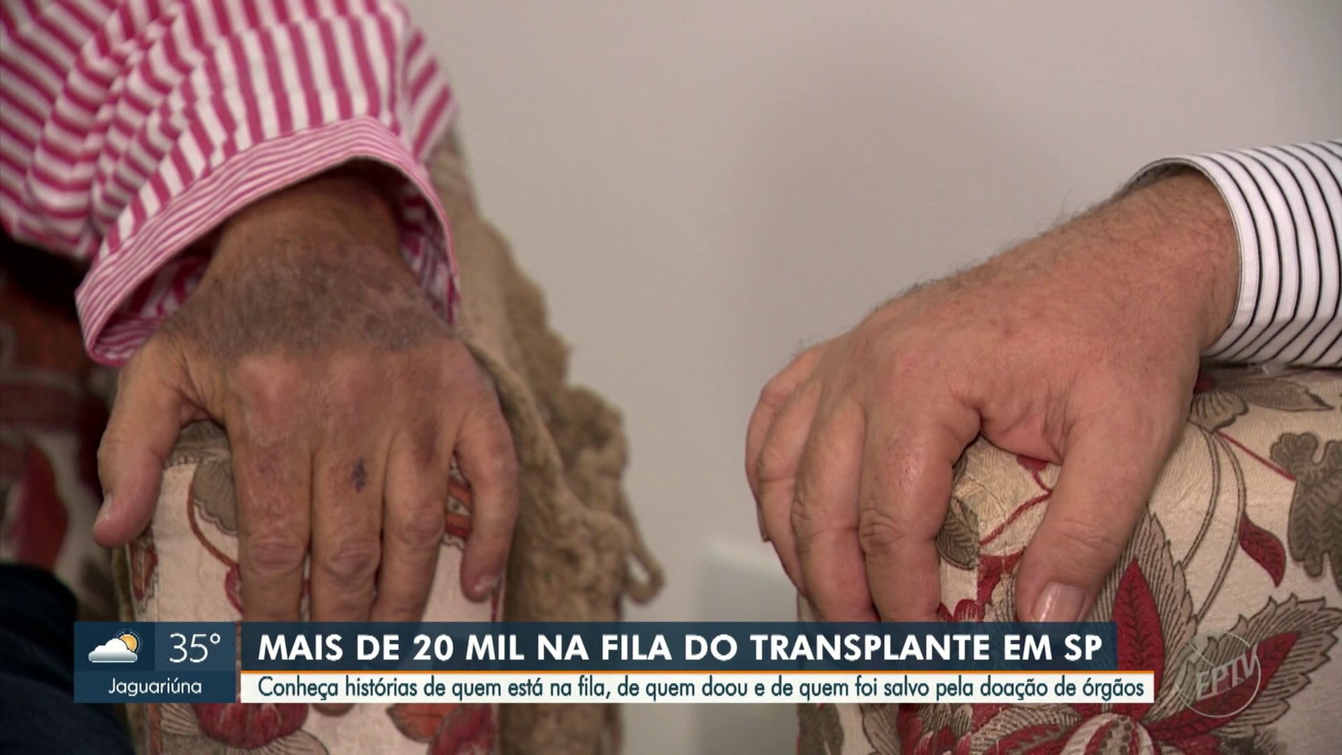 Rim para o irmão e primeiro bebê a sobreviver a um transplante de medula: veja histórias de quem teve a vida transformada pela doação de órgãos