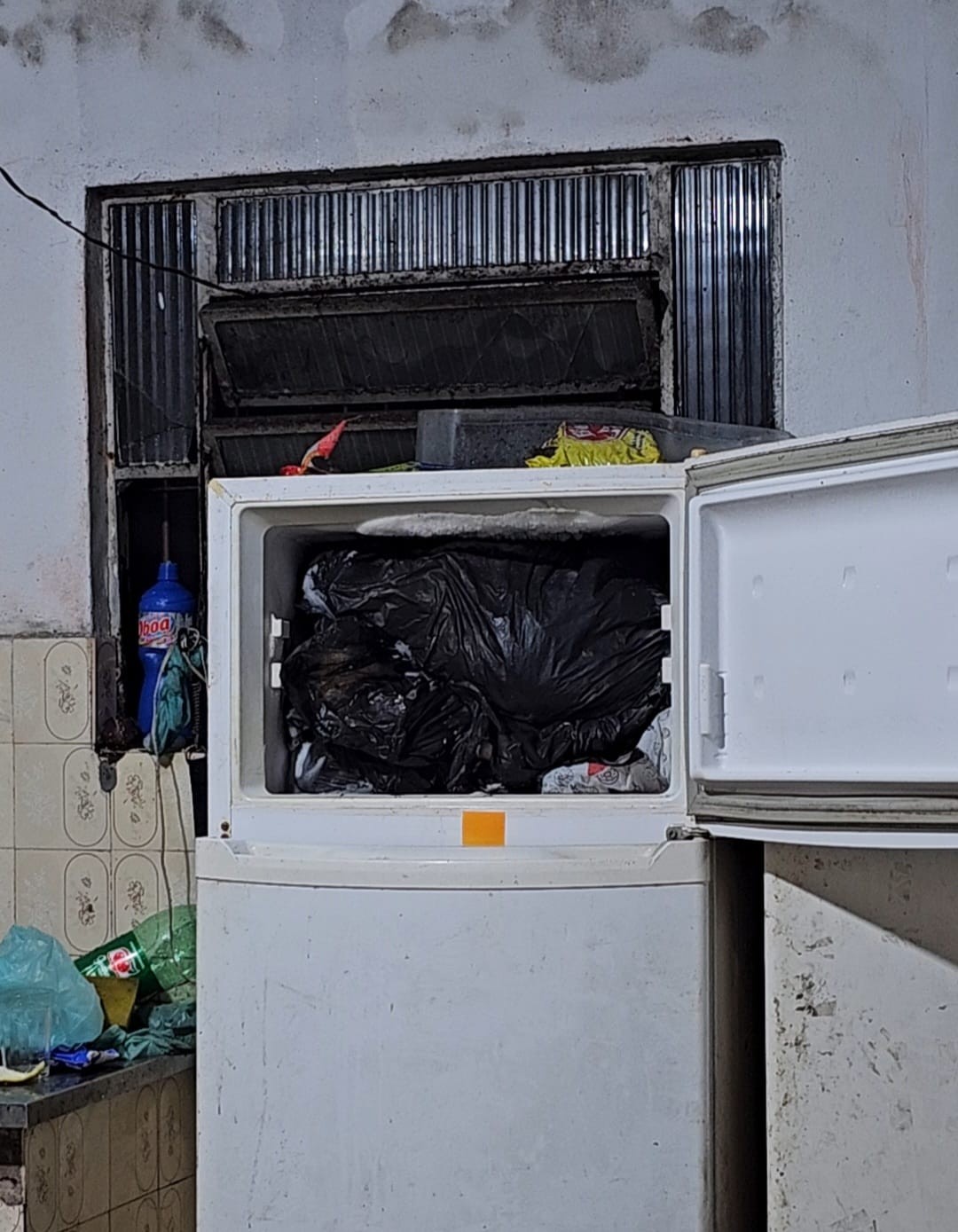 Cremerj abre sindicância para apurar caso de cardiologista preso com cachorros congelados no freezer no RJ