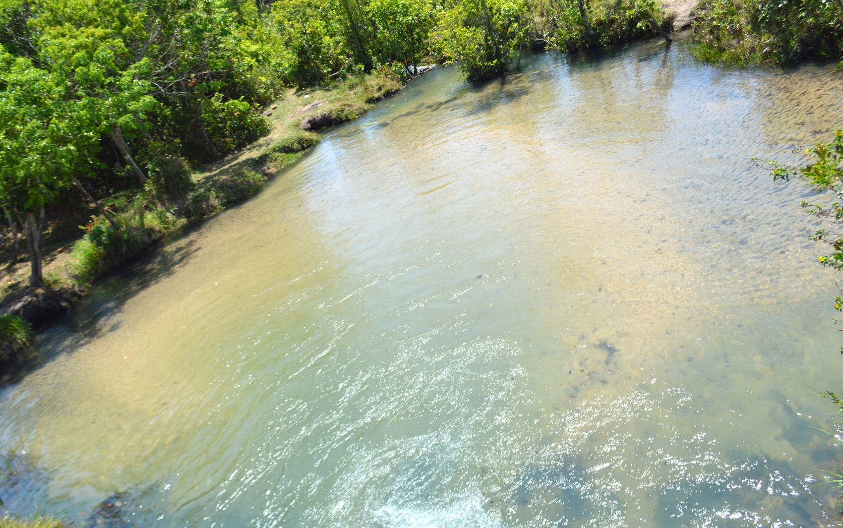 Você Não Tá Convidada pro Meu Bat Mitzvá!