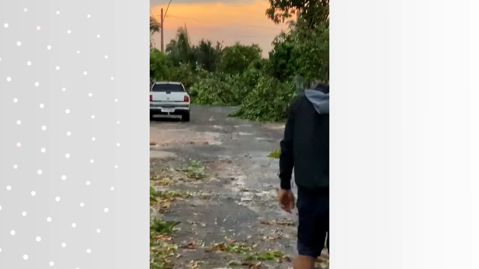 Árvores caídas em rua de Araguanã — Foto: Reprodução/Redes Sociais